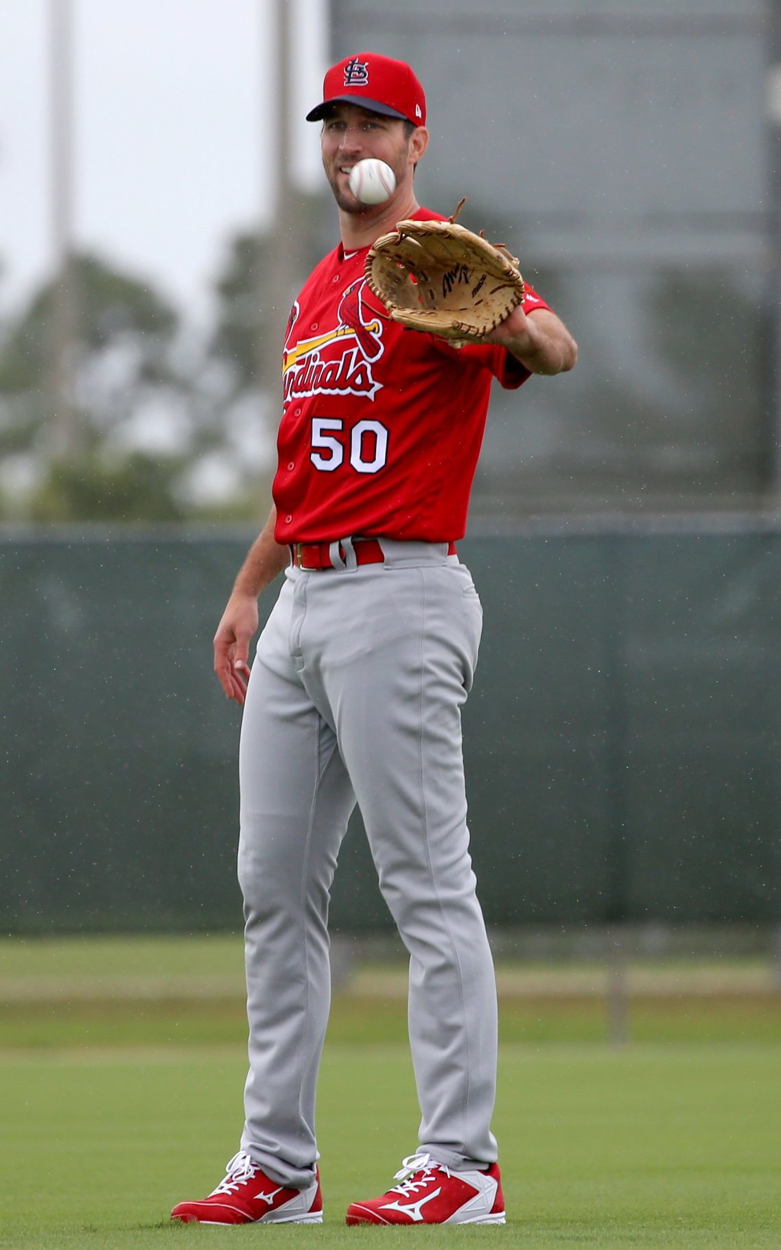 Cardinals spring training